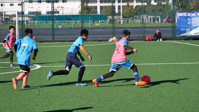 开云- 阿斯科利启用AI训练系统，科技助力中小球队  